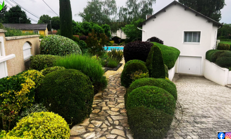 L'Entreprise Aux Charmes du Jardin vous propose une taille à Mions (69)