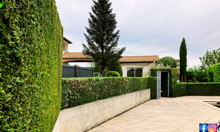 L'Entreprise Aux Charmes du Jardin vous propose la taille de haie à Orliénas (69)