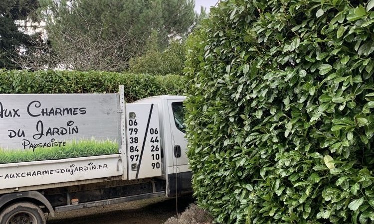 L'entreprise Aux Charmes du jardin vous propose une taille de haie à Craponne