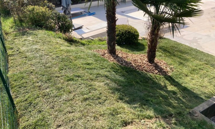 L'entreprise Aux Charmes du Jardin vous propose la pose d'un gazon en plaque à Chaponnay 